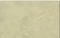 1770636283838-Sand Dollar.webp